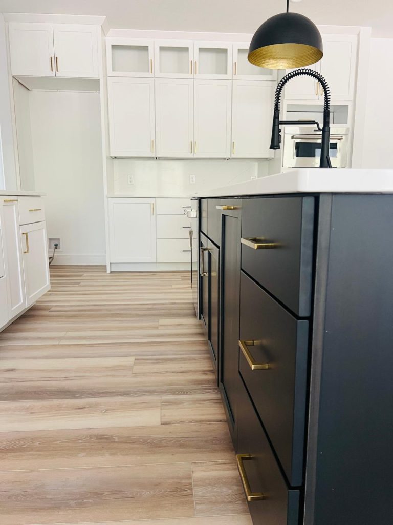 kitchen cabinets in black and white